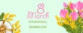 Desing for March 8 International Women`s Day with Tulip bouquet and Mimosa, gift box with gold bow. Light Banner or background