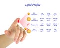 range of Lipid profile Royalty Free Stock Photo