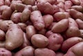 Desiree potatoes Royalty Free Stock Photo