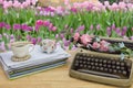 The desk in flower garden background. Royalty Free Stock Photo