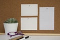 Desk table, work space. Cork board. Live succulent plant. Empty paper pages for notes. To do list