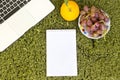 Desktop above green grass, laptop and empty notebook with orange and grapes fruit Royalty Free Stock Photo