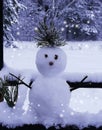 Desktop background snowman frost winter