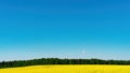 Desktop with blue sky and yellow flowers meadow. Rustic background with rapeseed field and copy space. Raw materials for the