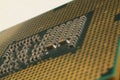 Desktop computer processor, cpu close-up Royalty Free Stock Photo