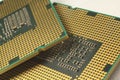 Desktop computer processor, cpu close-up Royalty Free Stock Photo
