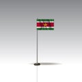 Flag Illustration of the country of SURINAME. National SURINAME flag isolated on gray background. Vector. EPS10