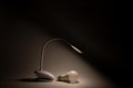 Desktop flexible LED lamp on the battery and LED light bulb in the dark on the table shines, light and technology,light