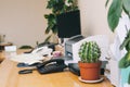 The desktop of a modern worker in the office. Computer, printer, scanner and green prickly cactus are on the table