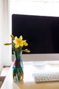 on a desktop with a monitor and keyboard, in a home office, there is a stained glass vase with fresh flowers of yellow Royalty Free Stock Photo