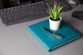 Desktop with notebook, keyboard, computer mouse, indoor plant and pen Royalty Free Stock Photo