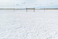 Desolate alkali flat Royalty Free Stock Photo