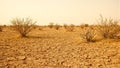 Desolate arid landscape with cracked dirt dry grass and withered bushes under a scorching sun Royalty Free Stock Photo