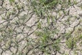 Desolate Barren Dry Cracked Soil With Patches Of Grass Royalty Free Stock Photo