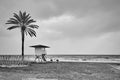 Desolate beach with palm and lifeguard tower Royalty Free Stock Photo