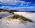 Desolate coast of the South Island, New Zealand