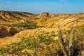 Desolate Desert Landscape