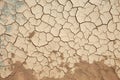 Desolate earth Background of parched and cracked dry ground Royalty Free Stock Photo