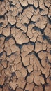 Desolate earth Background of parched and cracked dry ground