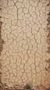 Desolate earth Background of parched and cracked dry ground Royalty Free Stock Photo