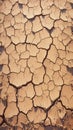 Desolate earth Background of parched and cracked dry ground Royalty Free Stock Photo