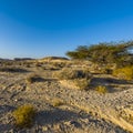 Desolate infinity in Israel Royalty Free Stock Photo