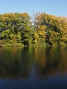 Desolate Landscape Of Trees And Lake At Wilanow Park In European Warsaw Capital City In Poland - Vertical
