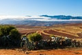 Desolate mountain landscape with catuses Royalty Free Stock Photo