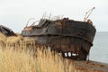 desolate ship wreck -  Desdemona Wreck Royalty Free Stock Photo