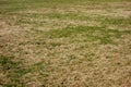 Grass weed pattern