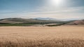 Desolate and uninhabited field on a sunny day Royalty Free Stock Photo