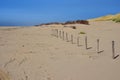 Desolated beach