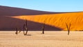 Desolated dry landscpe and dead camel thorn trees in Deadvlei pan with cracked soil in the middle of Namib Desert red Royalty Free Stock Photo