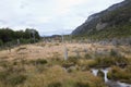 Desolated landscape at tierra del fuego