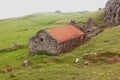 A desolated and worn crofter`s house Royalty Free Stock Photo