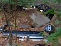 1955 DeSoto in Woods