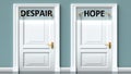 Despair and hope as a choice - pictured as words Despair, hope on doors to show that Despair and hope are opposite options while