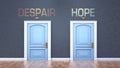 Despair and hope as a choice - pictured as words Despair, hope on doors to show that Despair and hope are opposite options while