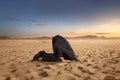 Desparate businessman hiding head in the sand Royalty Free Stock Photo