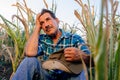 Desperate farmer, dry corn crops of arid climate, Royalty Free Stock Photo