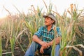 Desperate senior farmer standing in drought-damaged corn crop. Royalty Free Stock Photo