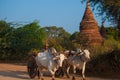 Myanmar Pastoral Workers