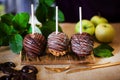 Dessert, an apple dipped in chocolate on a stick Royalty Free Stock Photo