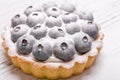 Dessert basket with blueberries and powdered sugar. close-up