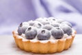 Dessert basket with blueberries and powdered sugar. close-up