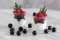 Dessert with berries from sour-milk products. Yogurt with raspberries and currants is decorated with green leaves Royalty Free Stock Photo