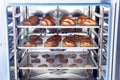 Dessert bread baking in Combi steamer. Production oven at the bakery. Baking bread. Manufacture of bread. Royalty Free Stock Photo