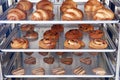 Dessert bread baking in Combi steamer. Production oven at the bakery. Baking bread. Manufacture of bread. Royalty Free Stock Photo