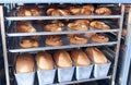 Dessert bread baking in Combi steamer. Production oven at the bakery. Baking bread. Manufacture of bread. Royalty Free Stock Photo