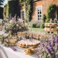 Dessert buffet table, food catering for wedding, party holiday celebration, lavender decor, cakes and desserts in a country garden